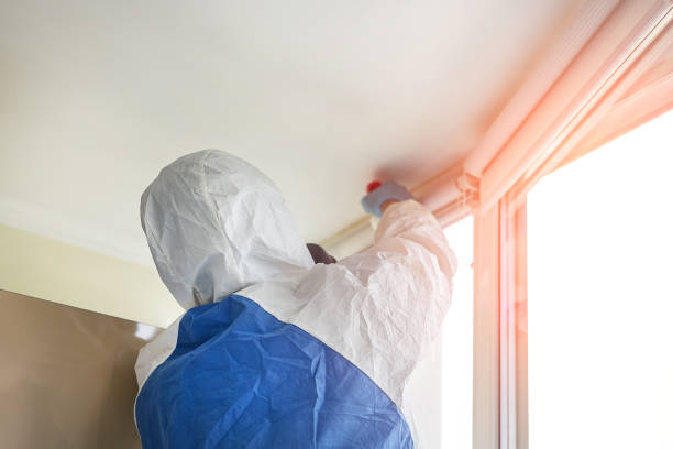 Best Mold Prevention Services in Fritz Creek, AK